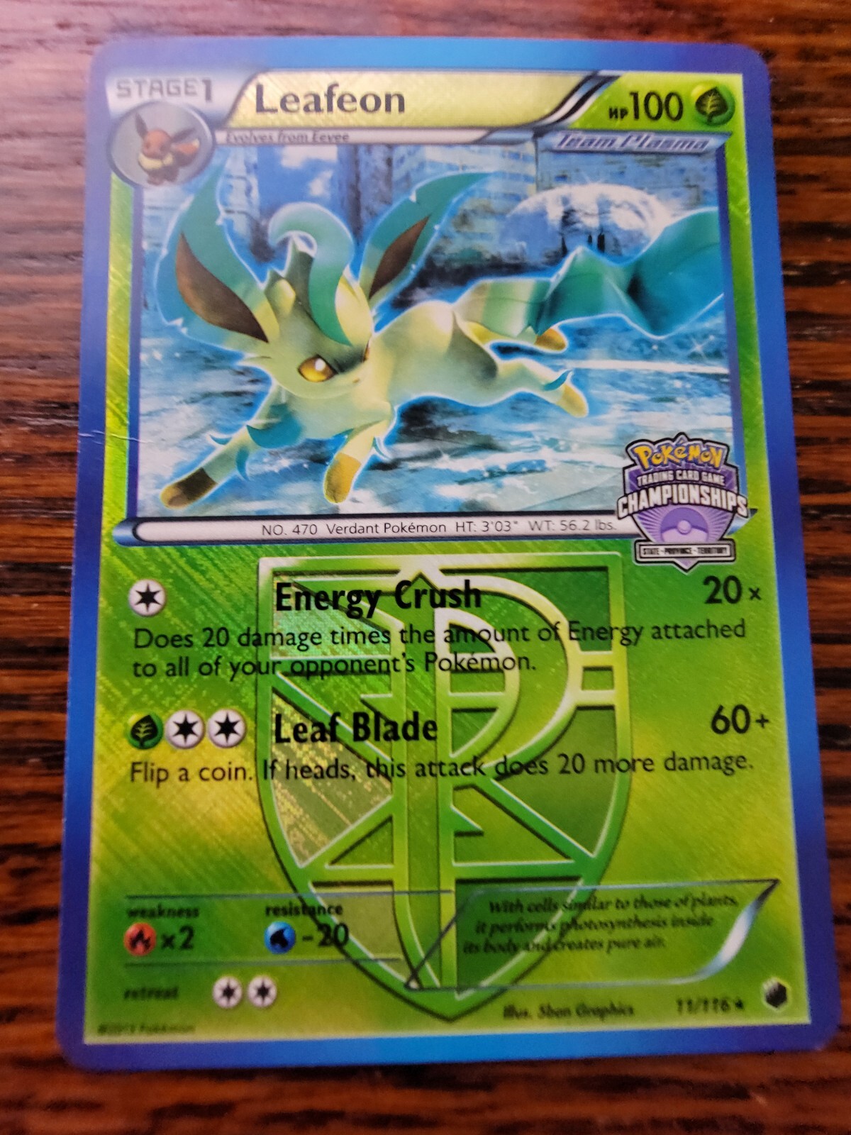 MP Leafeon Pokemon State Championships Promo Card Crosshatch Holo 11/116
