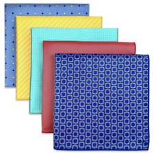 5 Pieces Assorted Mens Silk Pocket Square Handkerchiefs Set Lot 104