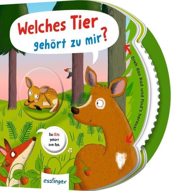 Dreh das Rad und find´s heraus!: Welches Tier gehört zu mir? Anja Kiel
