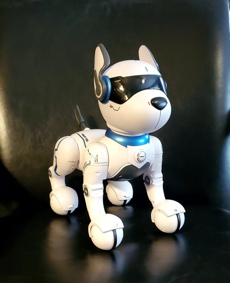 Top Race Remote Control Robot Dog Toy for Kids, Interactive & Smart Da