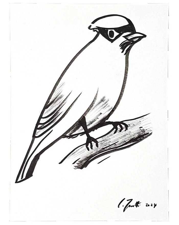 Expresionismo Pájaros Arte dibujos