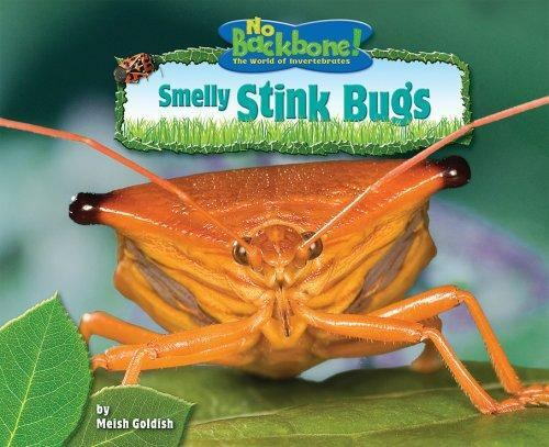 No Backbone! Ser.: The World of Invertebrates: Smelly Stink Bugs by ...