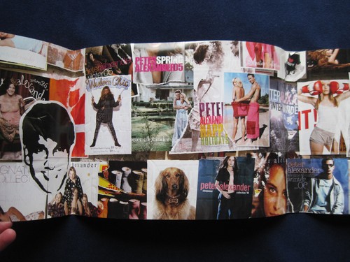 CELEBRATING 20 YEARS OF SLEEPING AROUND - SIGNED by PETER ALEXANDER 1st Edition - Picture 11 of 12