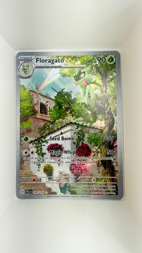 Pokemon Floragato Paldea Evolved 197/193 Holo Illustration Rare