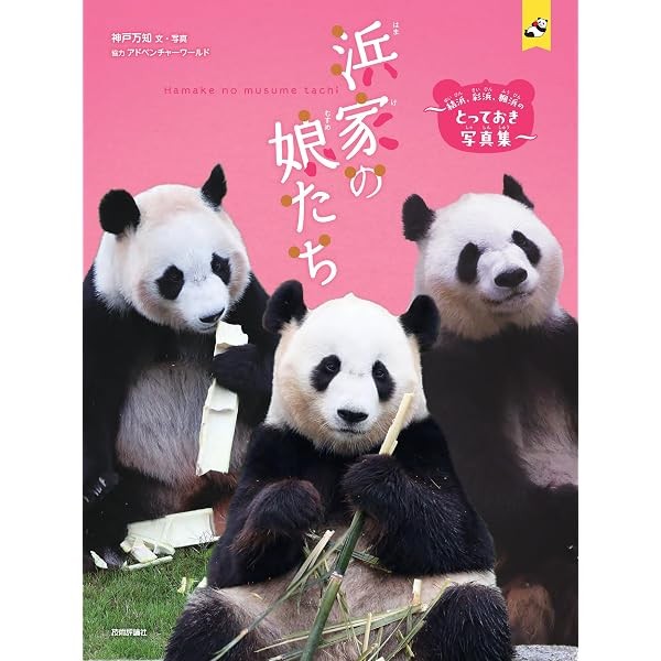 Adventure World Hamake no Musume Tachi Panda Photo Book Japan New with Track