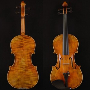Violino Joseph Guarnerius | eBay
