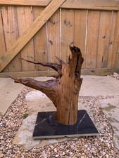 Natural Driftwood For Aquarium/Terrarium/Arts And Crafts