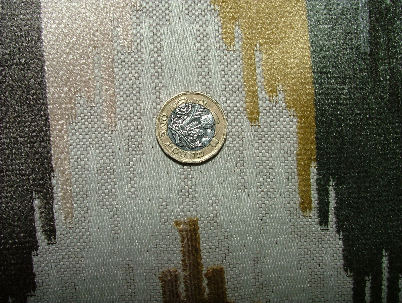 Picture 7 of 11