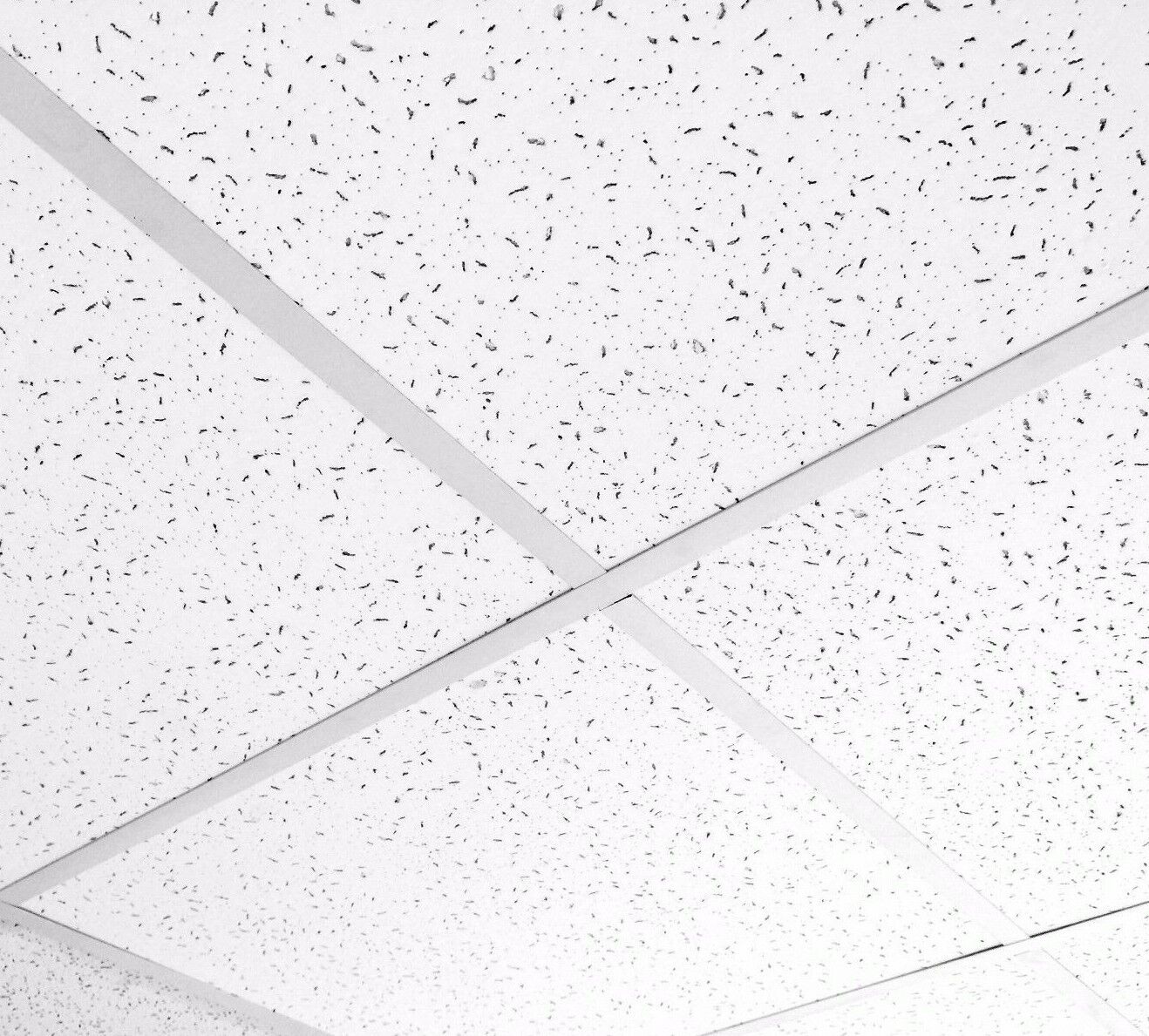 Fissured Suspended Ceiling Tiles Office