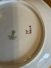 Vintage CT Altwasser Silesia Handpainted 27706 26 Light & Dark Rose Floral Plate — photo 7