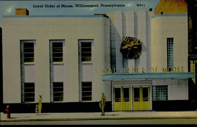Postcard: Loyal Order of Moose, Williamsport, Pennsylvania WP11 ORDER