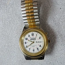 Armitron Instalite Watch Men's w/ Day & Date - Water Proof