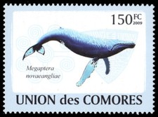 COMORO ISLANDS 1099b - Humpback Whale 