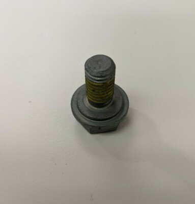 Alta Motors Bolt, Sprocket, m10 x 1.5 (2900391-01)