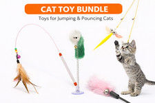 Cat Toy Bundle - Wand, Feather Teaser, Spring Mouse, Dangling Toy - Pounce Play