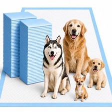 XXXL 31x47" 40 Count Super Absorbent 6-Layer Dog Pee Pads - Leak-Proof, Odor-Con