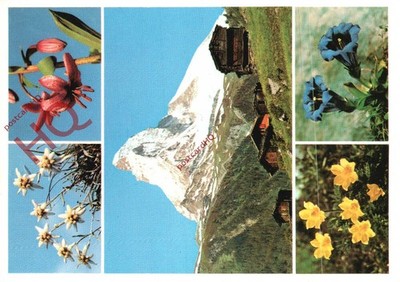 Ansichtskarte_ Cervin-Matterhorn (Multiview)