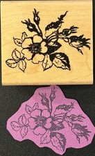 Rubber Stamp Botanical Illustration Wild Rose And Buds