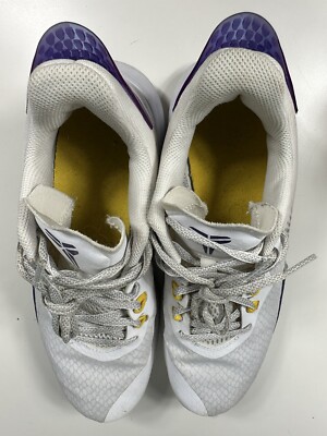 2020 Nike Kobe Bryant Mamba Fury Lakers White Purple Home Sz  display picture 1