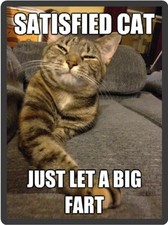 Funny Cat Humor Satisfied Cat Fart Refrigerator Magnet  