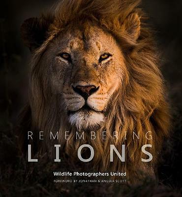 Remembering Lions by Not Available (Hardcover, 2019)