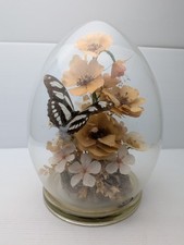 Taxidermy Butterfly In Glass Dome. With Real Sealed Flowers.