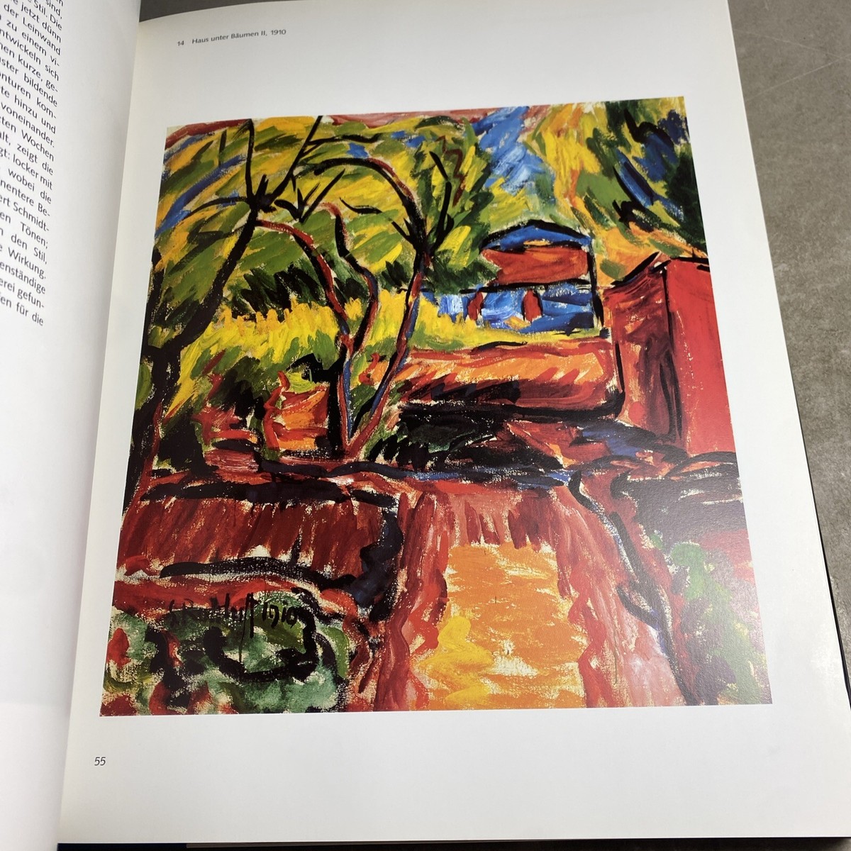 アート・デザイン・音楽 Karl Schmidt-roffluff: Eine Monographie Artist Monograph: Karl Schmidt-Rottluff, Der Maler, Hardcover