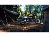 2022 Triumph Scrambler 1200 XE Gold Line