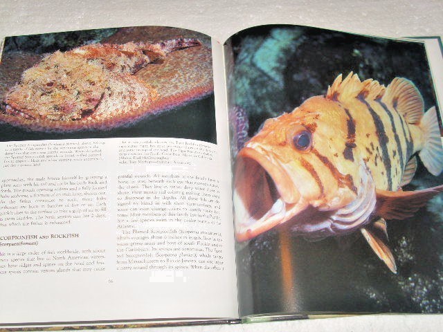 Picture 3 of 9