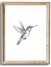 Vintage Wall Art Prints Farmhouse Decor Hummingbird Sketch Canvas Oil Paintin...