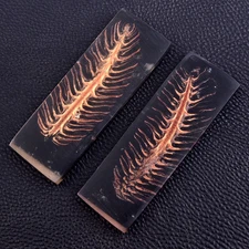 Custom Made Stabilized Pine Cones Resin Pair Scales For Knife Making Handle 2958