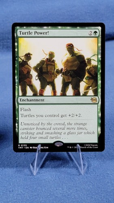 #ad MTG Turtle Power Regular NM TMNT Rare *** $1.70