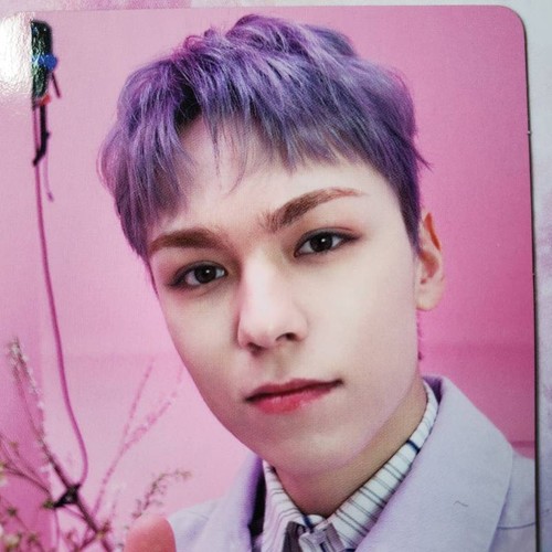 SEVENTEEN ALWAYS YOURS JAPAN BEST ALBUM Photo Card TypeE Limited ED. PC - Picture 30 of 32