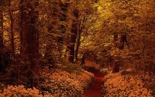 Landscape nature trees forest fall branch leaves yellow Custom Gaming Mat Desk