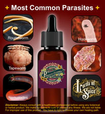 Parasite Cleanse Parasite Detox POTENT SAFE FAST EASY Drops USA Free Shipping