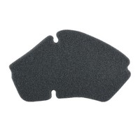 Scooterlibre Luftfilter (FüR: Piaggio Zip 50 Sp Lc Dt ZAPC11 96-99 )
