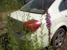 Driver Rear Side Door With Center Moulding Package Fits 07-09 AURA 28231