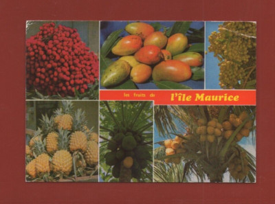 Les fruits de l'île Mauritius ..... (H8423)
