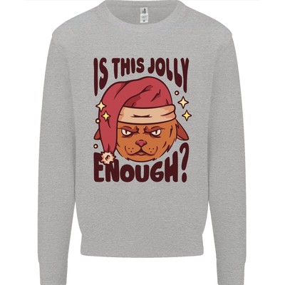 Christmas Cat Is This Jolly Enough Funny Mens Sweatshirt Jumper