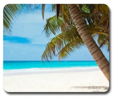 Ocean Beach Palm Trees Tropical Paradise ~ Mouse Pad / Mousepad ~ Great Gift!