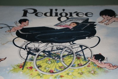 pedigree pram catalogue