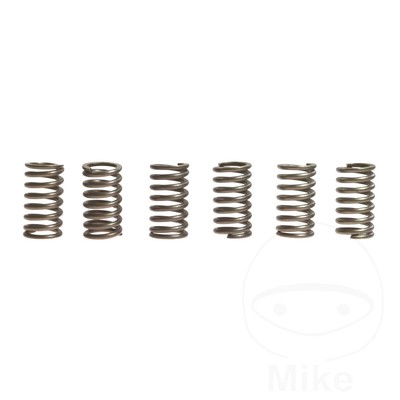 EBC Clutch Spring Kit (6) CSK041 Fits Honda CG 125 1995-2008 | eBay UK