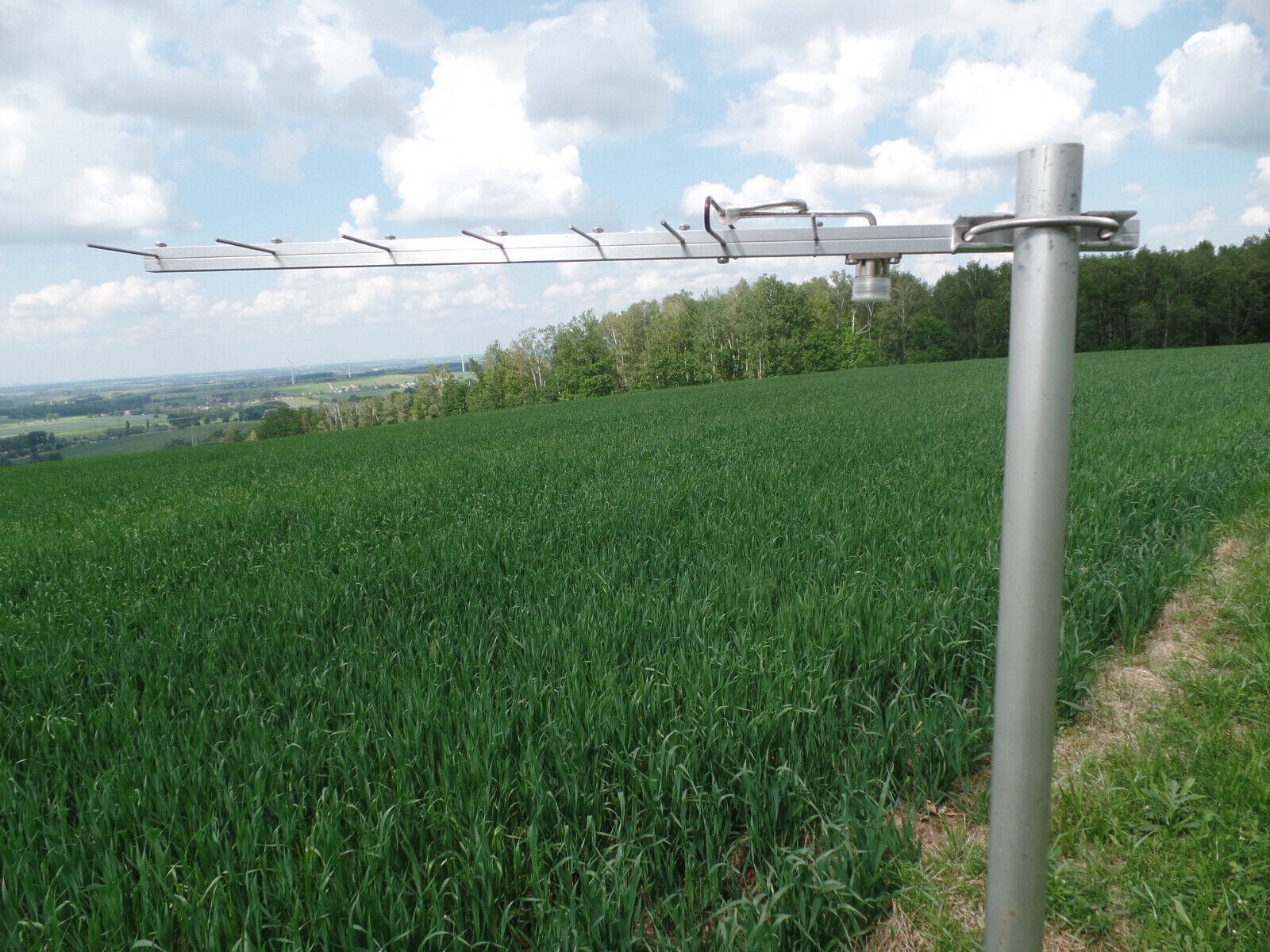 Bild 7 von 14