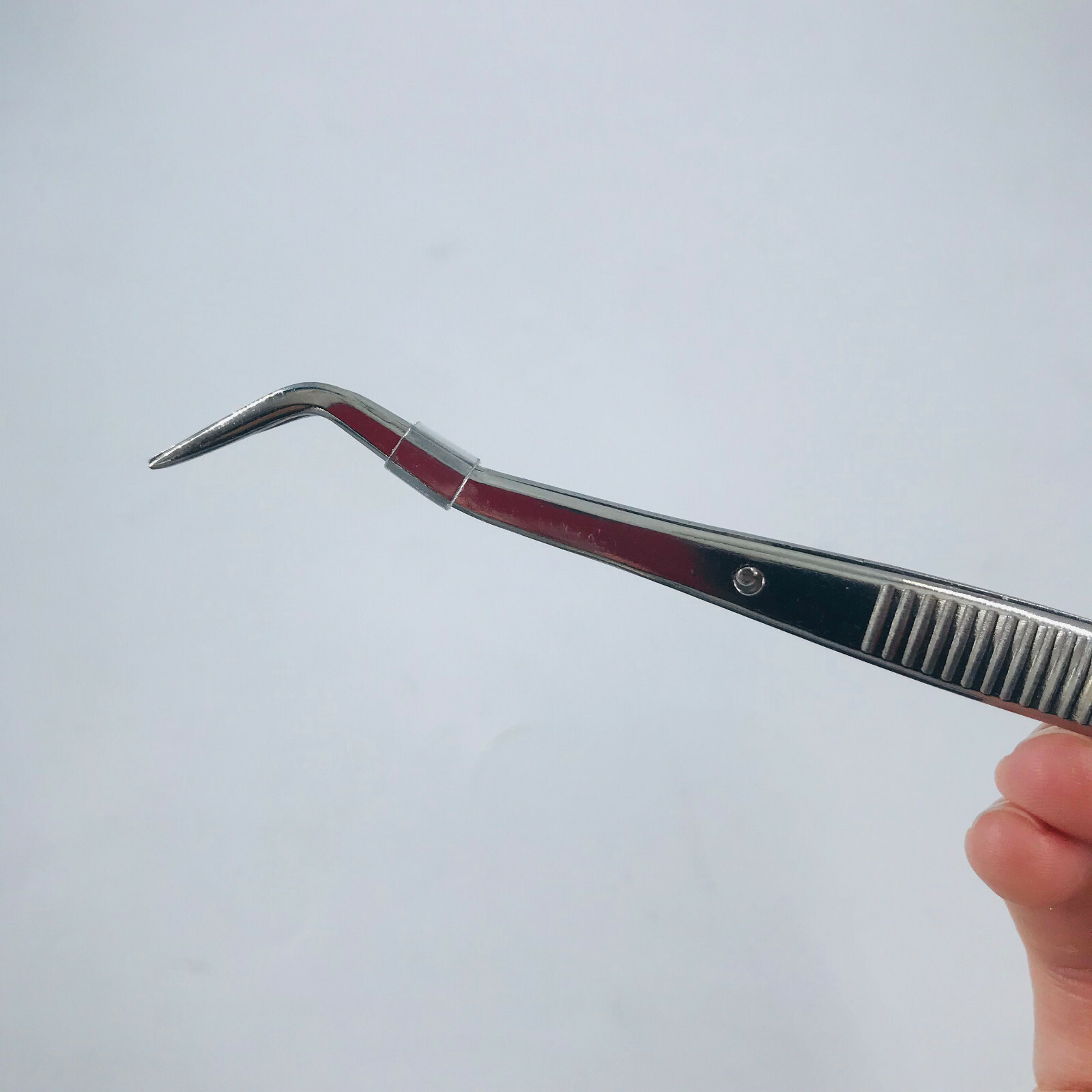 Dental Tweezer Dentist Tweezers Serrated Angled Forceps Tweezers
