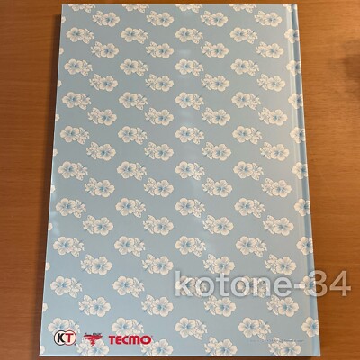 DEAD OR ALIVE Xtreme 3 Venus Gravure Sexy Photobook DOA Photo Book