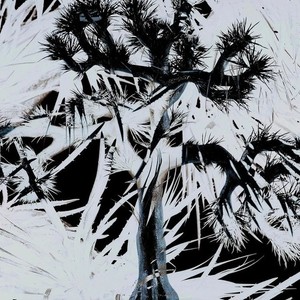 Plastic Tree CDまとめ売り Plastic Tree CD | eBay