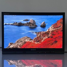 Sony PVM-A250 25" TRIMASTER EL Professional OLED Monitor 52,882 Hours MINT