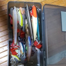 I it in the ocean and washed it with cold water etime, so I think it's clean.