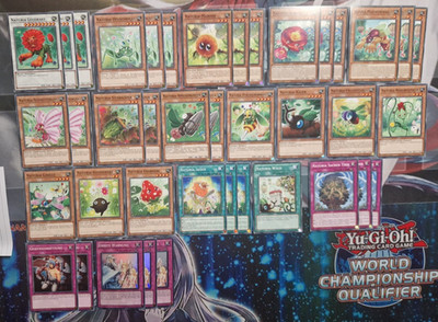 Yu-Gi-Oh! Naturia, Natur, Synchro Deck, top Zustand - Deutsch / Englisch