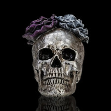 1pc, Skull Decor, Resin Craft Skeleton Head Desktop Decoration, Indoor And Outdo